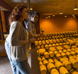 Wine Premium Tour